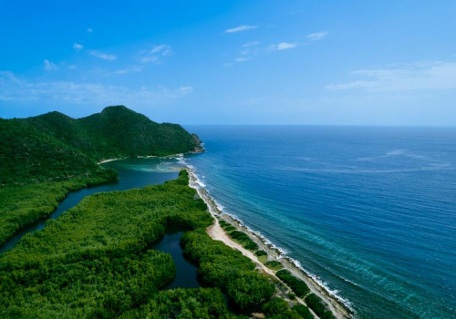 5 voordelen van luisteren naar Caribische muziek